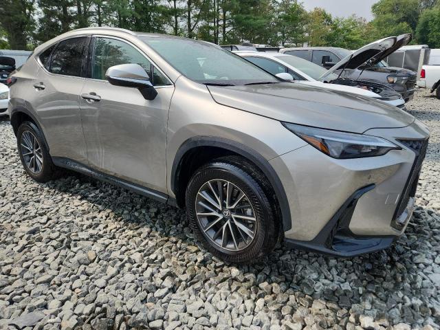 Фото 4 с аукциона – 2023 LEXUS NX 350 с VIN 2T2GGCEZ2PC018529