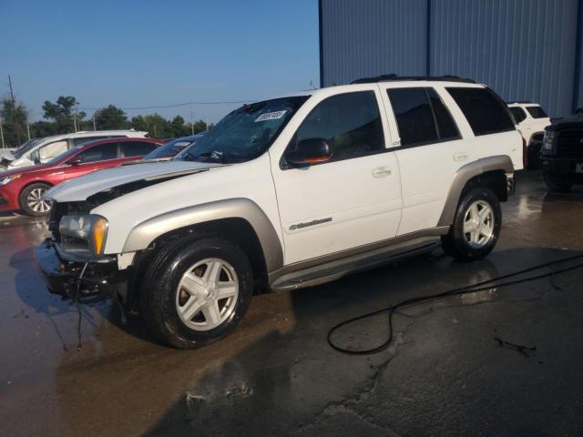 CHEVROLET TRAILBLAZE 2003 with VIN 1GNDT13SX32359741 - Photo from auction