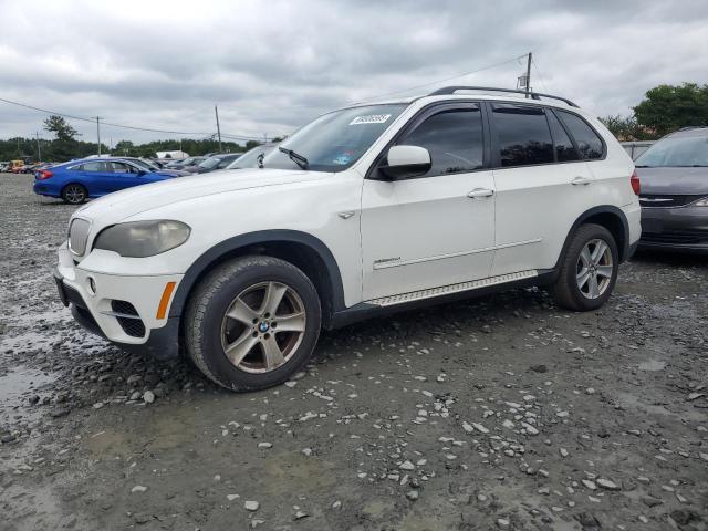BMW X5 XDRIVE3 2011 with VIN 5UXZW0C53BL656271 - Photo from auction