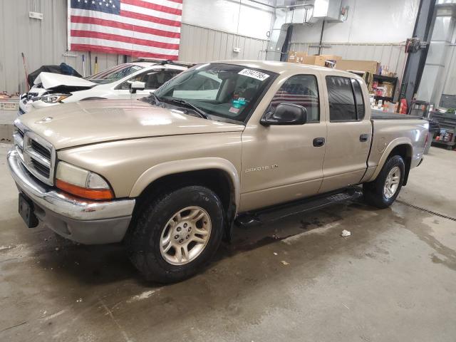 DODGE DAKOTA QUA 2002 with VIN 1B7HL48N22S553709 - Photo from auction