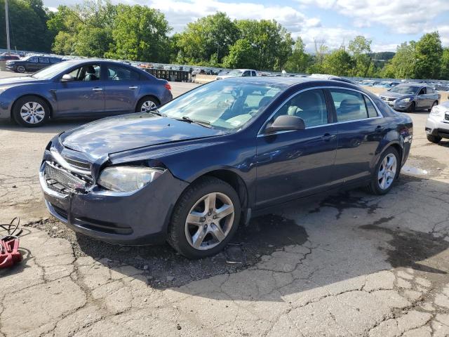 CHEVROLET MALIBU LS 2011 with VIN 1G1ZB5E10BF206637 - Photo from auction