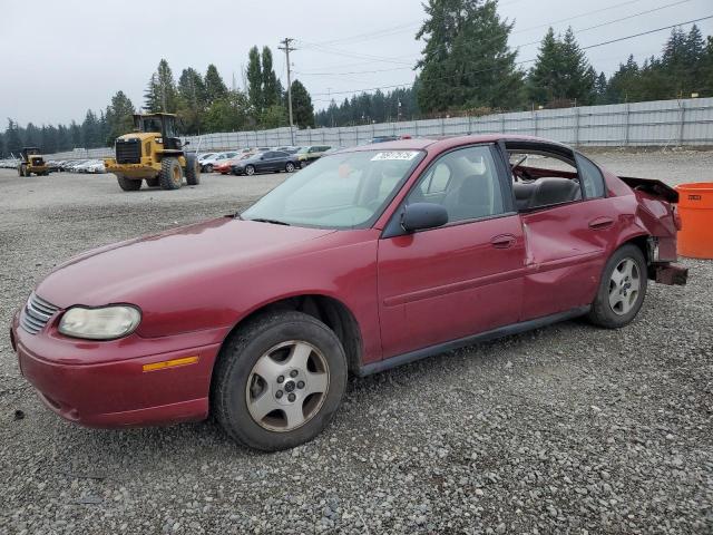 CHEVROLET CLASSIC 2005 with VIN 1G1ND52F75M241619 - Photo from auction