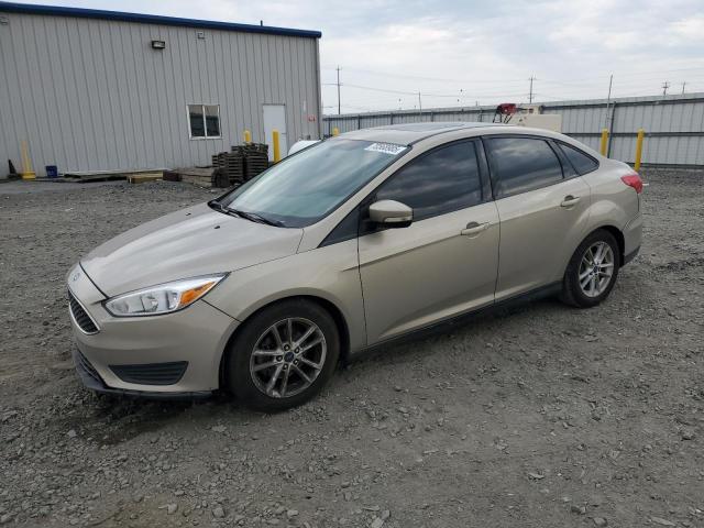 FORD FOCUS SE 2016 with VIN 1FADP3F2XGL269256 - Photo from auction