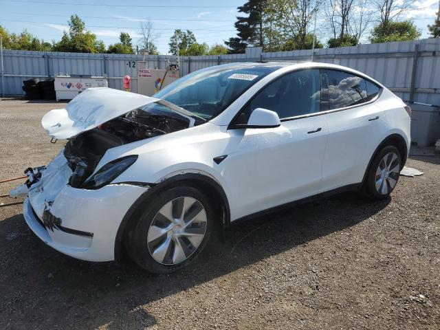 TESLA MODEL Y 2023 with VIN 7SAYGDEE1PF775822 - Photo from auction