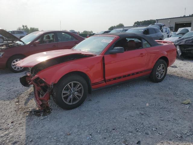 Photo 1 from auction – 2005 FORD MUSTANG with VIN 1ZVHT84N955214510