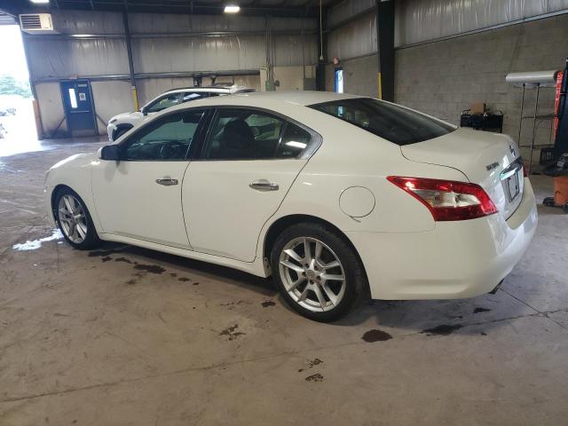 Photo 2 from auction – 2009 NISSAN MAXIMA S with VIN 1N4AA51E39C841594