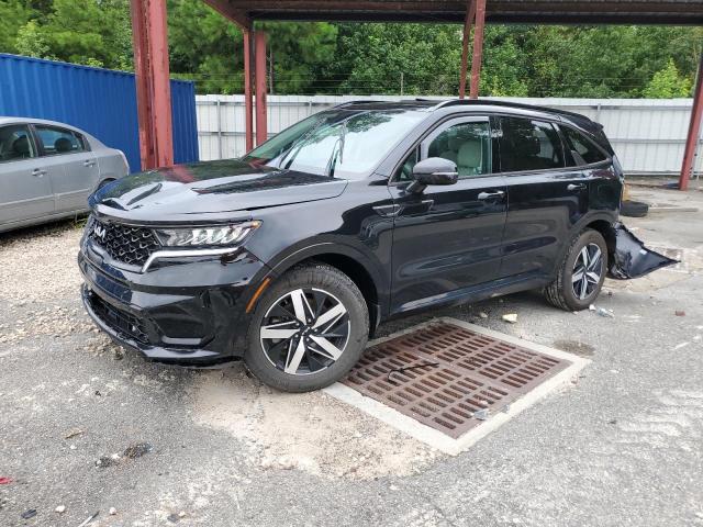 KIA SORENTO S 2023 with VIN 5XYRL4LC5PG181242 - Photo from auction