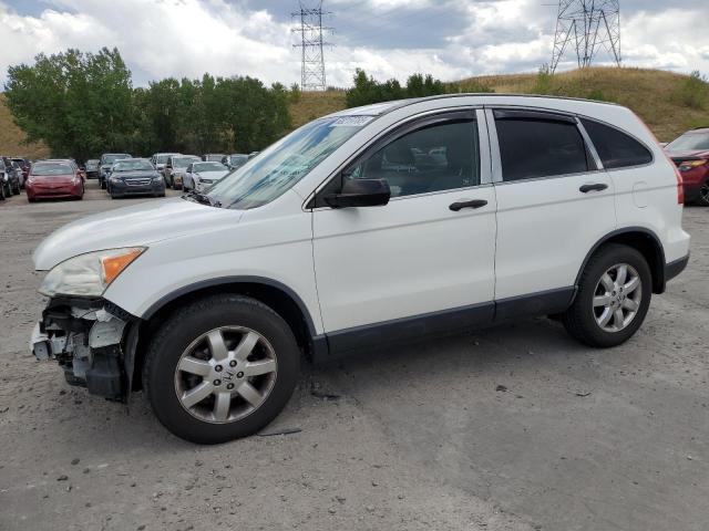 HONDA CR-V EX 2007 with VIN JHLRE48587C033257 - Photo from auction