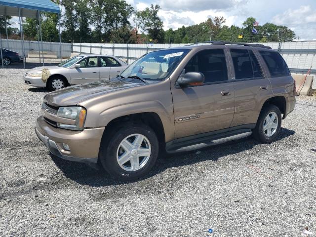 CHEVROLET TRAILBLAZE 2002 with VIN 1GNDT13S022336337 - Photo from auction