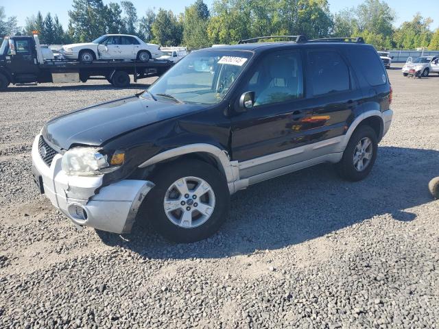 FORD ESCAPE XLT 2007 with VIN 1FMCU93127KB60062 - Photo from auction