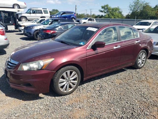 HONDA ACCORD EXL 2012 with VIN 1HGCP3F81CA009071 - Photo from auction