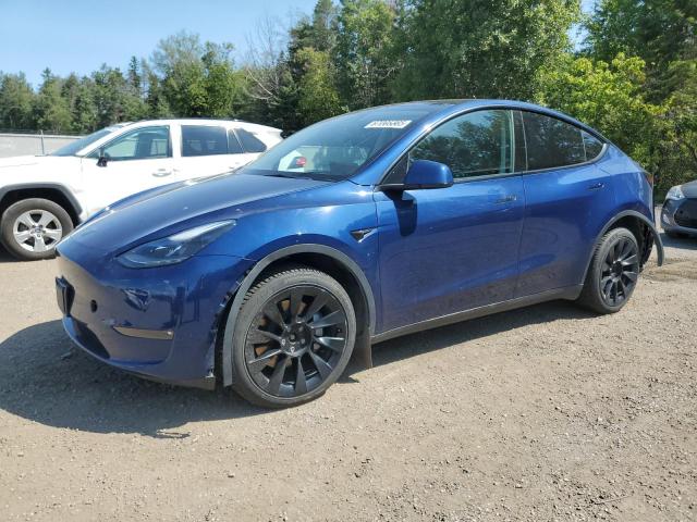 TESLA MODEL Y 2021 with VIN 5YJYGDEE3MF301573 - Photo from auction