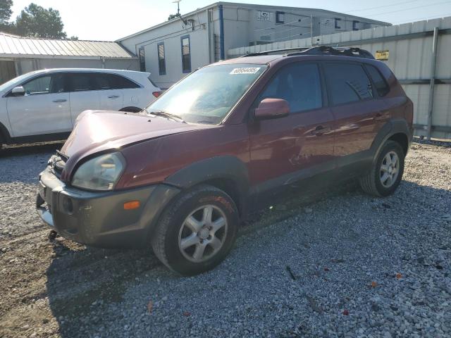 HYUNDAI TUCSON 2005 with VIN KM8JN12D65U181029 - Photo from auction