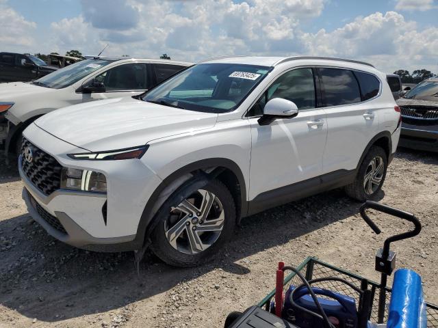 HYUNDAI SANTA FE S 2023 with VIN 5NMS2DAJ1PH537391 - Photo from auction