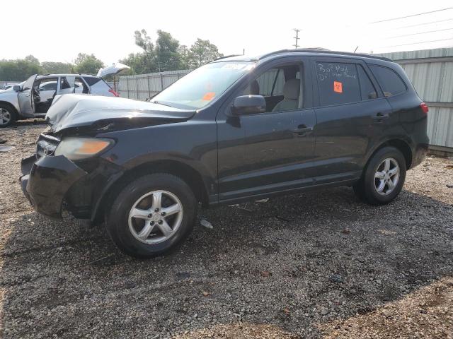 HYUNDAI SANTA FE G 2007 with VIN 5NMSG13D97H049359 - Photo from auction