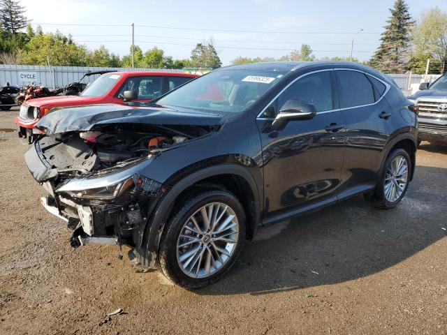 LEXUS NX 350H BA 2025 with VIN 2T2GKCEZ0SC044649 - Photo from auction