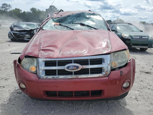 Photo 5 from auction – 2010 FORD ESCAPE XLT with VIN 1FMCU0D75AKD44787