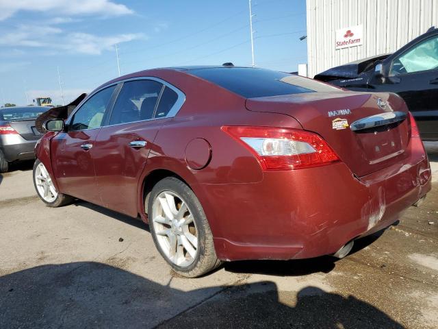 Photo 2 from auction – 2010 NISSAN MAXIMA S with VIN 1N4AA5AP5AC817691
