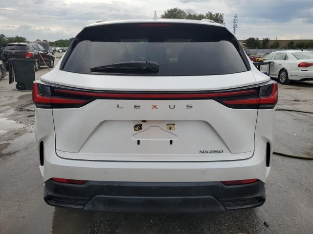 Photo 6 from auction – 2024 LEXUS NX 250 PRE with VIN JTJGDCAZ3R5019463