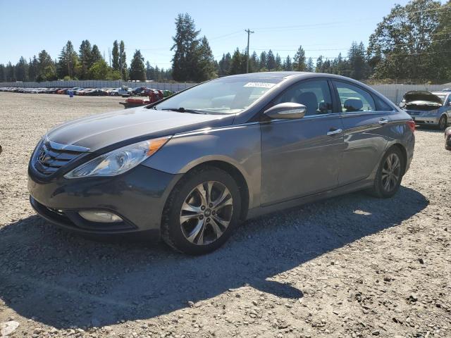 HYUNDAI SONATA SE 2013 with VIN 5NPEC4AC4DH623854 - Photo from auction