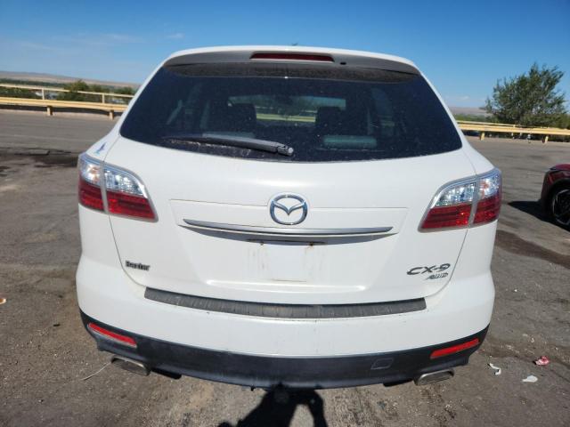 Photo 6 from auction – 2010 MAZDA CX-9 with VIN JM3TB3MA2A0235293