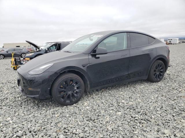TESLA MODEL Y 2023 with VIN 7SAYGDEE3PF691274 - Photo from auction