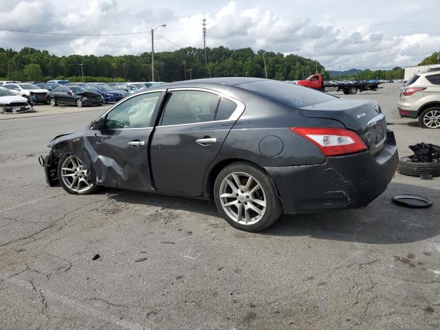 Photo 2 from auction – 2009 NISSAN MAXIMA S with VIN 1N4AA51E09C861768