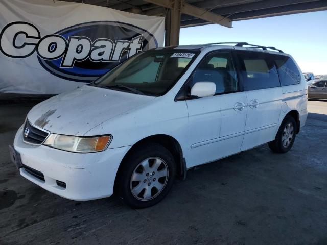 HONDA ODYSSEY EXL 2003 with VIN 5FNRL18063B136339 - Photo from auction