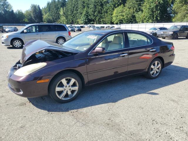 LEXUS ES 330 2005 with VIN JTHBA30G155118488 - Photo from auction