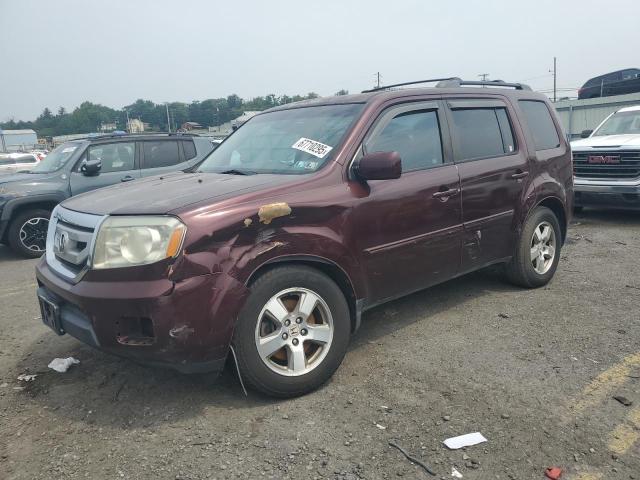HONDA PILOT EXL 2011 with VIN 5FNYF4H58BB054384 - Photo from auction