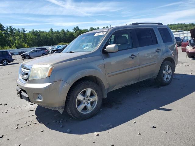 HONDA PILOT EXL 2011 with VIN 5FNYF4H55BB033511 - Photo from auction