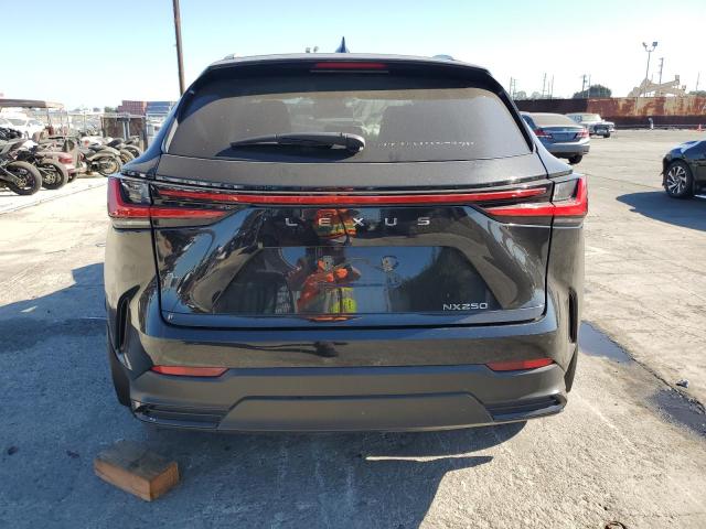 Photo 6 from auction – 2024 LEXUS NX 250 BAS with VIN 2T2ADCAZ6RC006245