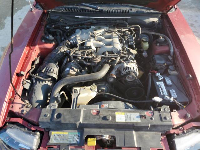 Photo 11 from auction – 2004 FORD MUSTANG with VIN 1FAFP40684F202661