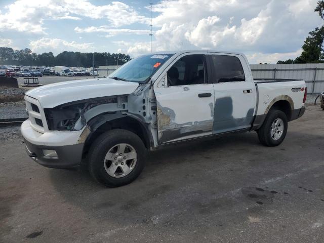 DODGE RAM 1500 2010 with VIN 1D7RV1CT8AS259884 - Photo from auction