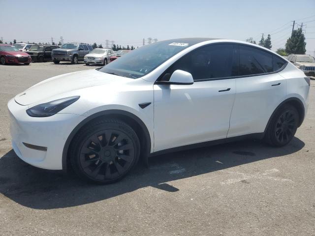 TESLA MODEL Y 2021 with VIN 5YJYGDEE8MF095666 - Photo from auction