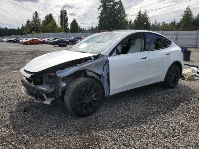 TESLA MODEL Y 2022 with VIN 7SAYGAEE4NF518942 - Photo from auction