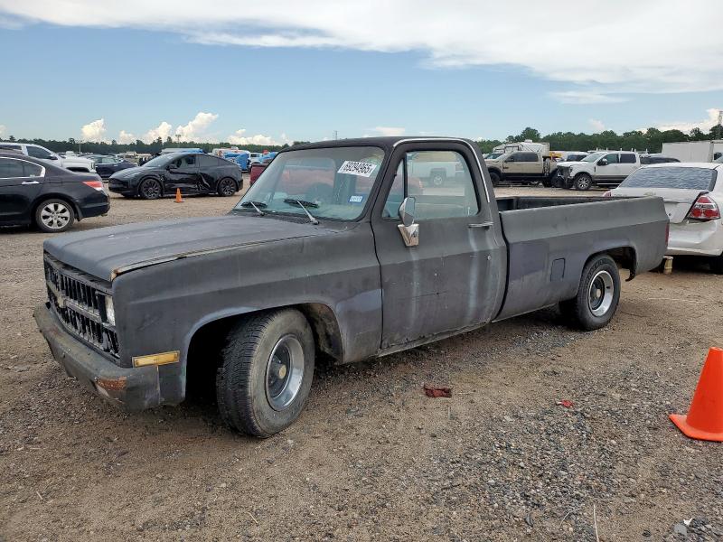 CHEVROLET C10 1981 with VIN 1GCDC14G2BB145263 - Photo from auction