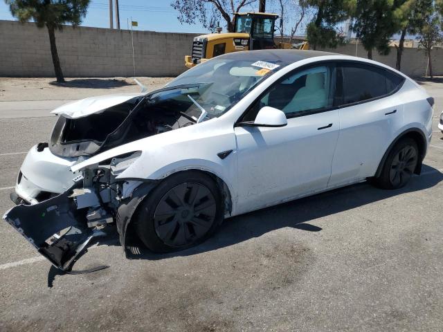 TESLA MODEL Y 2024 with VIN 7SAYGDEE5RF213540 - Photo from auction