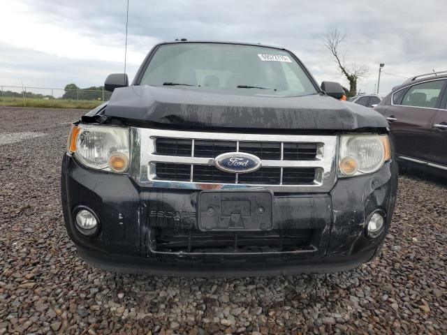 Photo 5 from auction – 2010 FORD ESCAPE XLT with VIN 1FMCU0DG2AKA03069