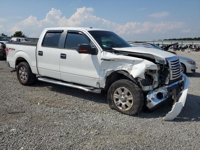 Photo 4 from auction – 2010 FORD F150 SUPERCREW with VIN 1FTFW1EV0AKE52829
