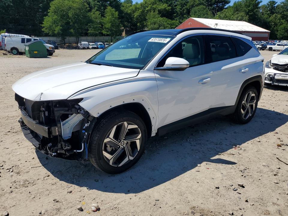 HYUNDAI TUCSON 2024 with VIN 5NMJECDE3RH440109 - Photo from auction