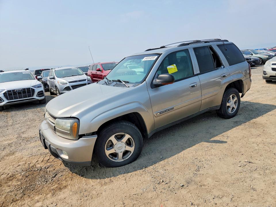 CHEVROLET TRAILBLAZER 2002 with VIN 1GNDT13S122410557 - Photo from auction