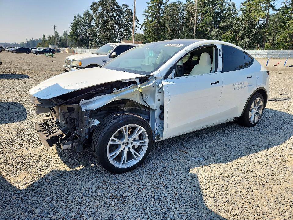 TESLA MODEL Y 2024 with VIN 7SAYGDEE3RF075495 - Photo from auction