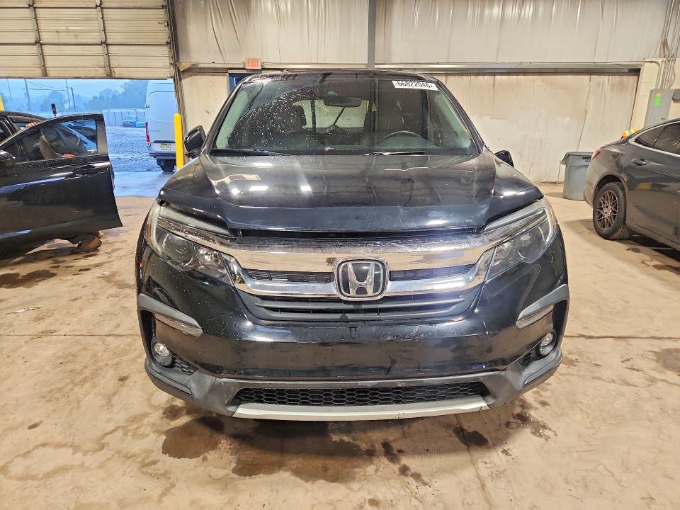 Photo 5 from auction – 2019 HONDA PILOT with VIN 5FNYF5H54KB002627