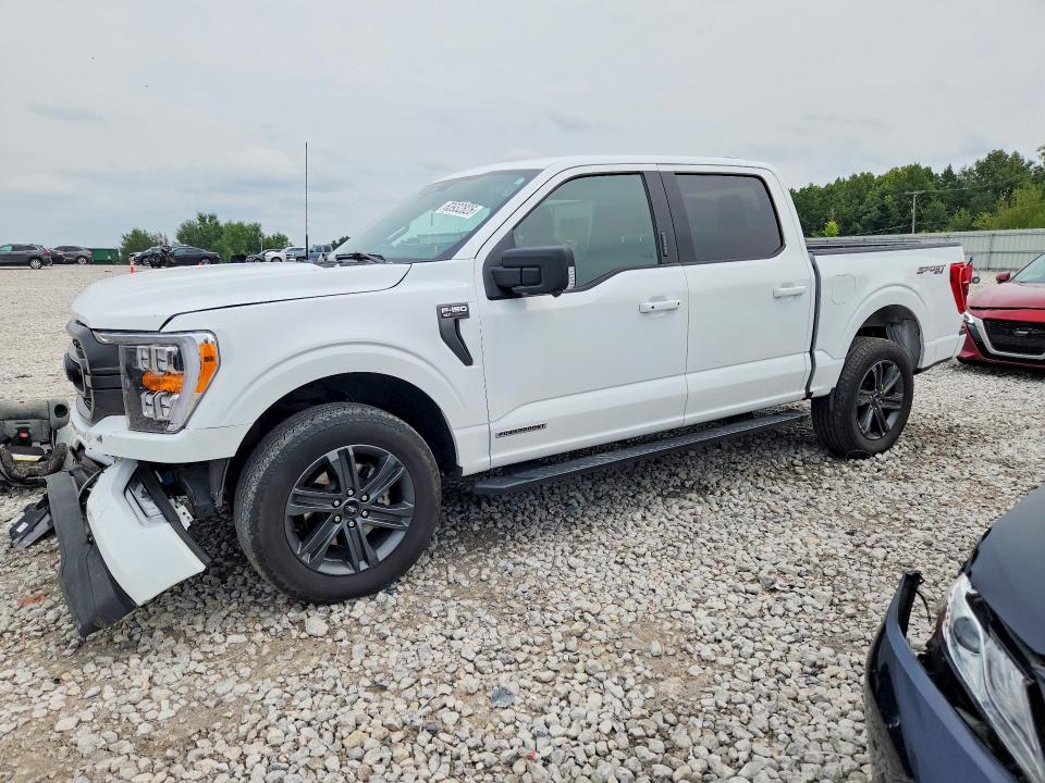 FORD F150 2023 with VIN 1FTFW1ED0PFD09341 - Photo from auction