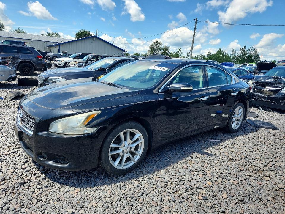 NISSAN MAXIMA 2011 with VIN 1N4AA5AP7BC862570 - Photo from auction