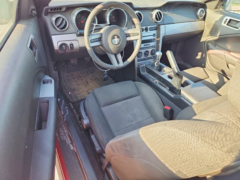 Photo 8 from auction – 2005 FORD MUSTANG with VIN 1ZVFT80N755155552