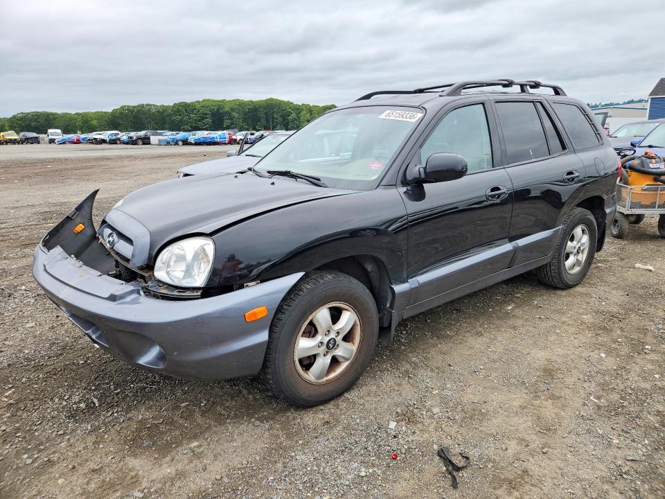 HYUNDAI SANTA FE 2006 with VIN KM8SC13D06U091675 - Photo from auction
