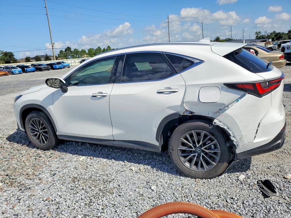 Photo 2 from auction – 2026 LEXUS NX 350 with VIN 2T2AGCEZ5TC104109