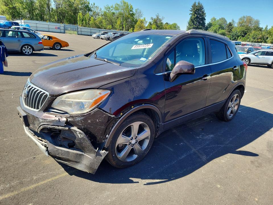 BUICK ENCORE 2013 with VIN KL4CJASB4DB196687 - Photo from auction